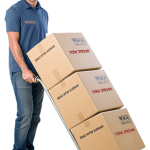 packers-and-movers-bbsr