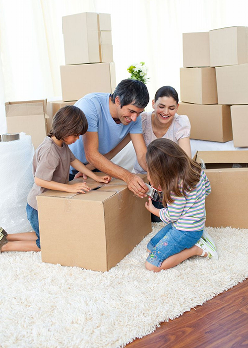 movers in bhubaneswar Packers-movers-in-Laxmisagar