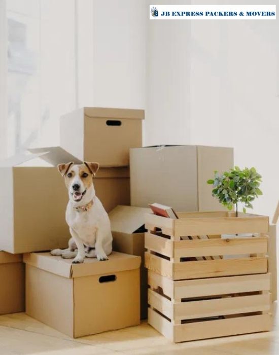 Packers-and-Movers-Sunabeda